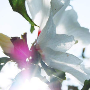 Meet your Posher, Rylee